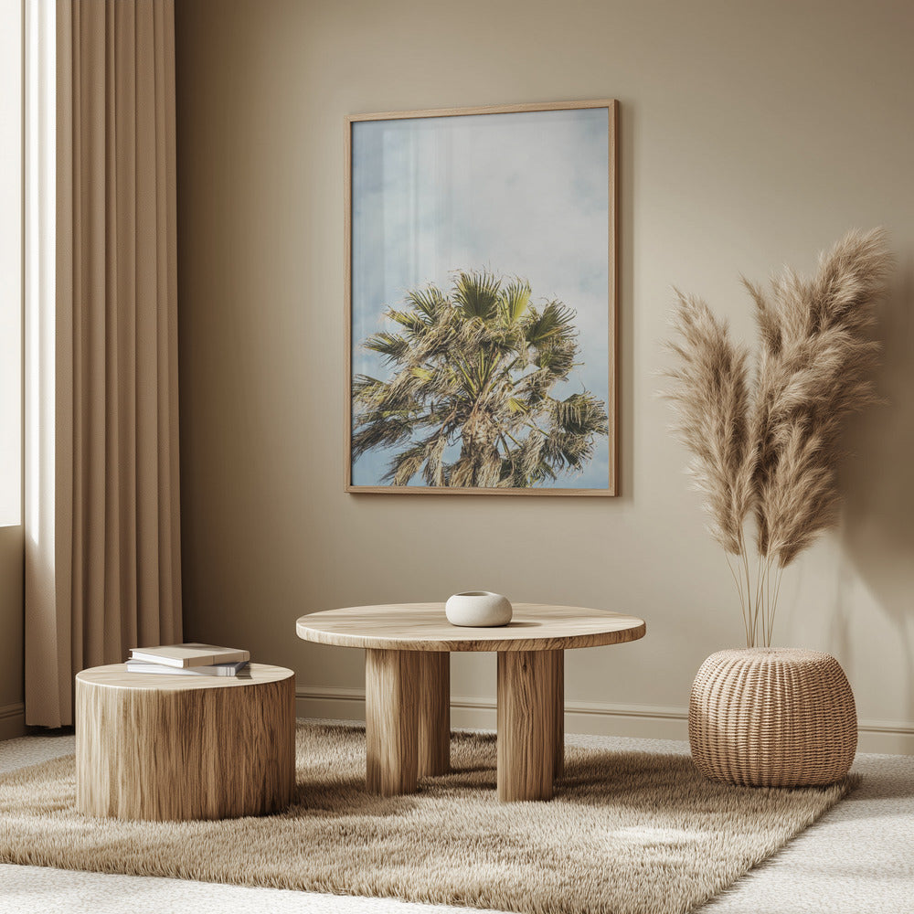 Sunlit Fronds | Poster