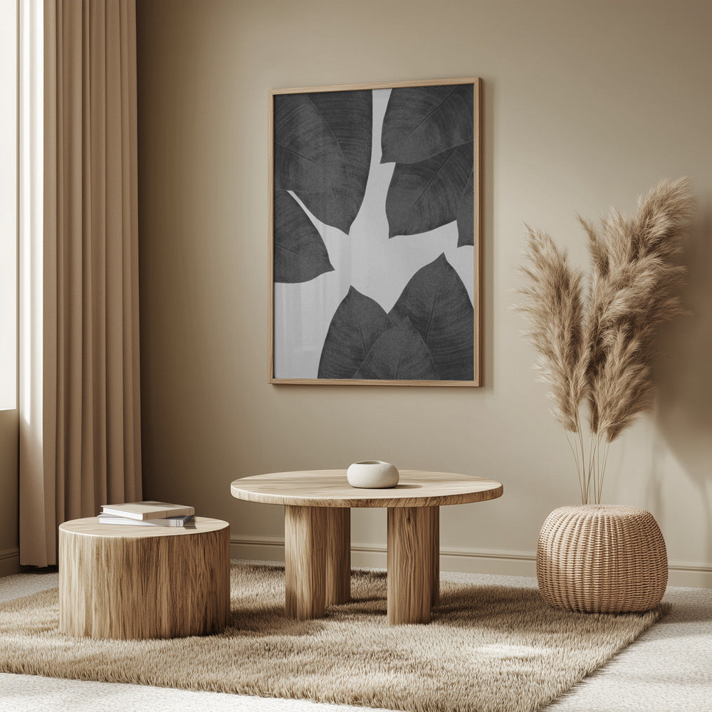 Banana Leaf Black & White I | Poster