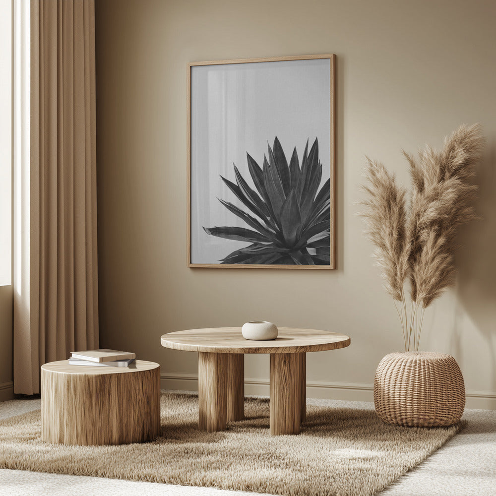 Agave Cactus Black & White | Poster