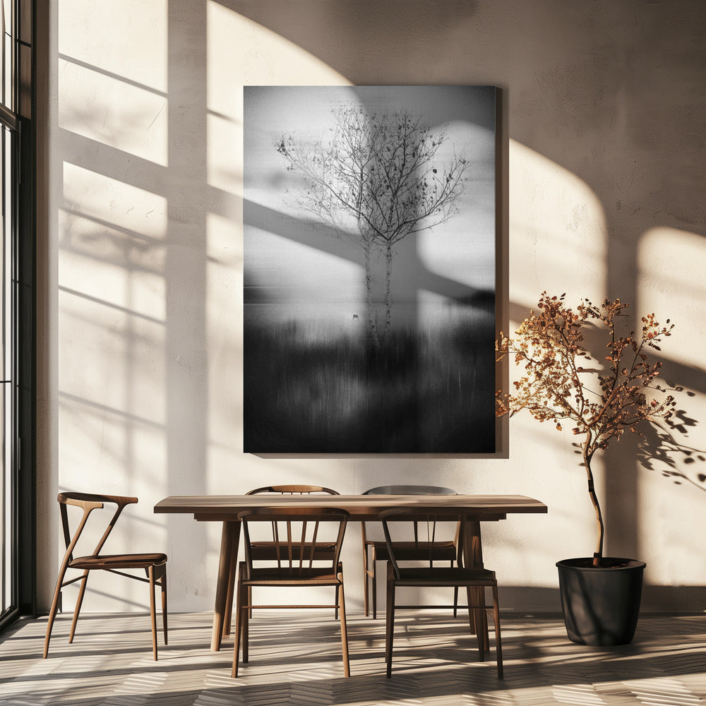 Quell'albero | Stampe su Tela