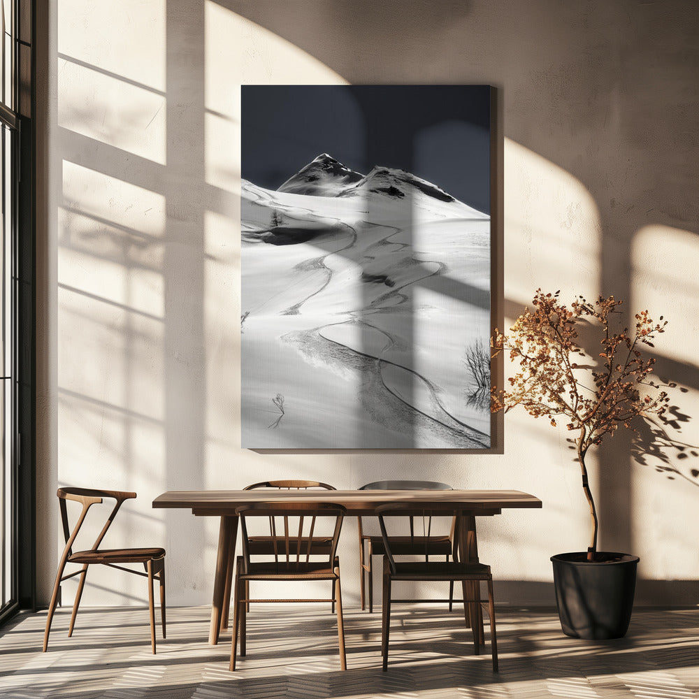 freeride | Canvas