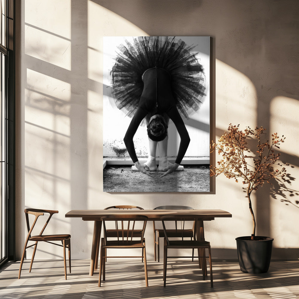 Ballerina | Stampe su Tela