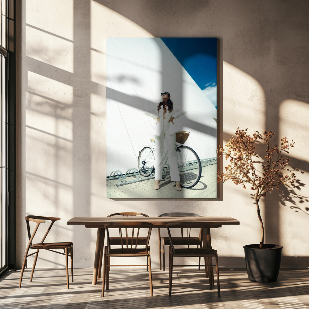 Skinn klart | Lerretsbilder