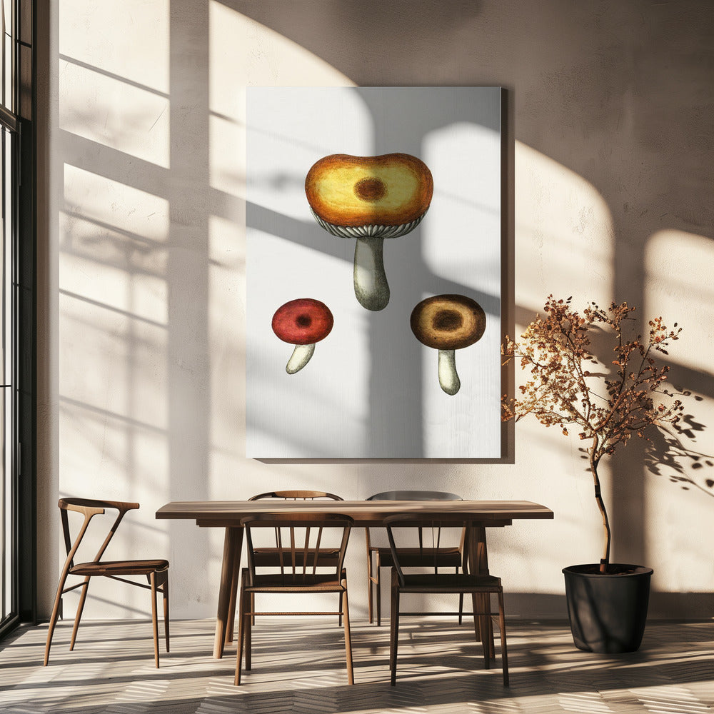 Champignon Galerina dessiné à la main | Tableaux sur Toile