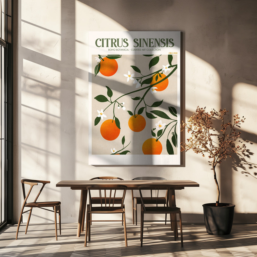 Citrus Sinensis - Sinaasappel | Canvasprints