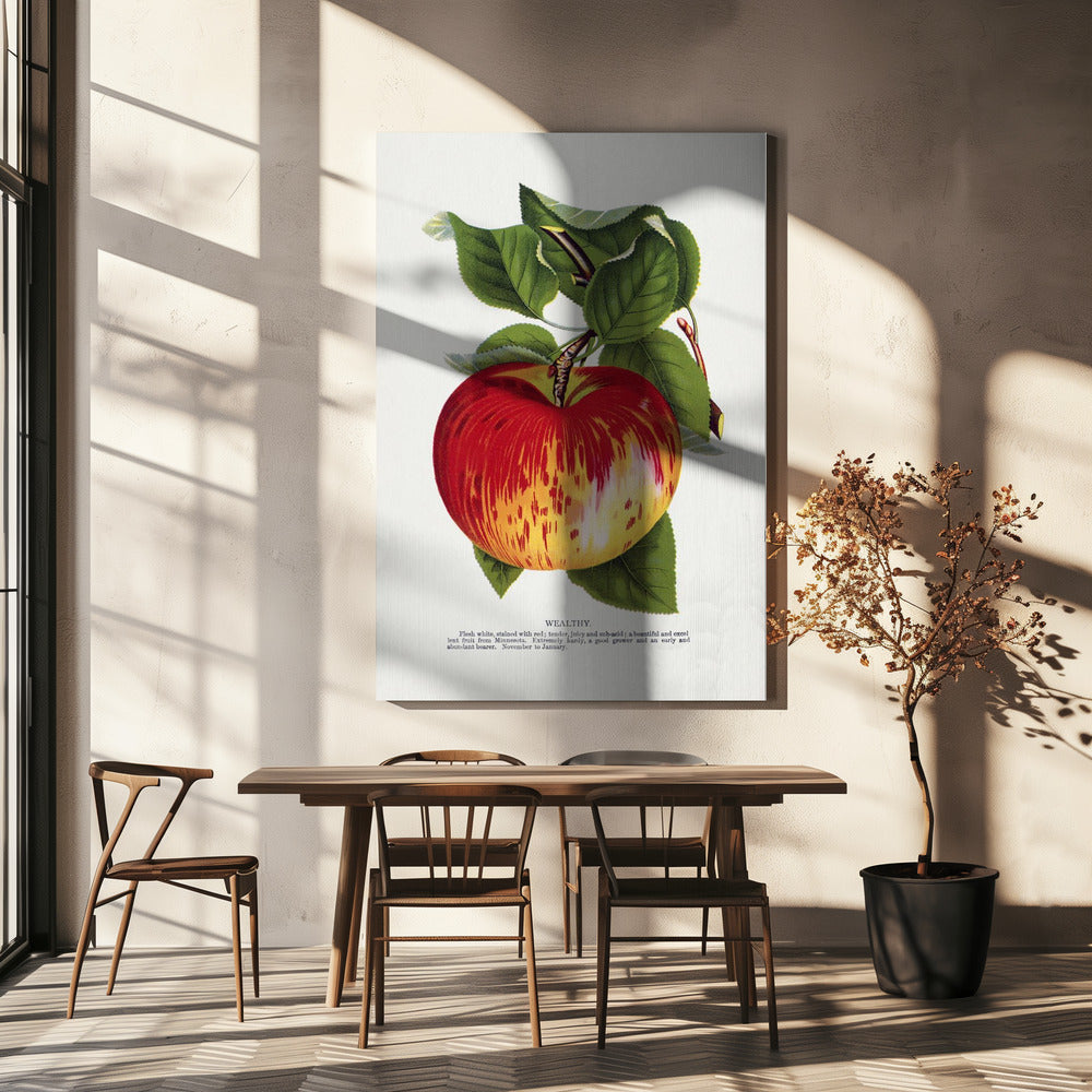 Lithografie „Wealth Apple“ | Leinwand