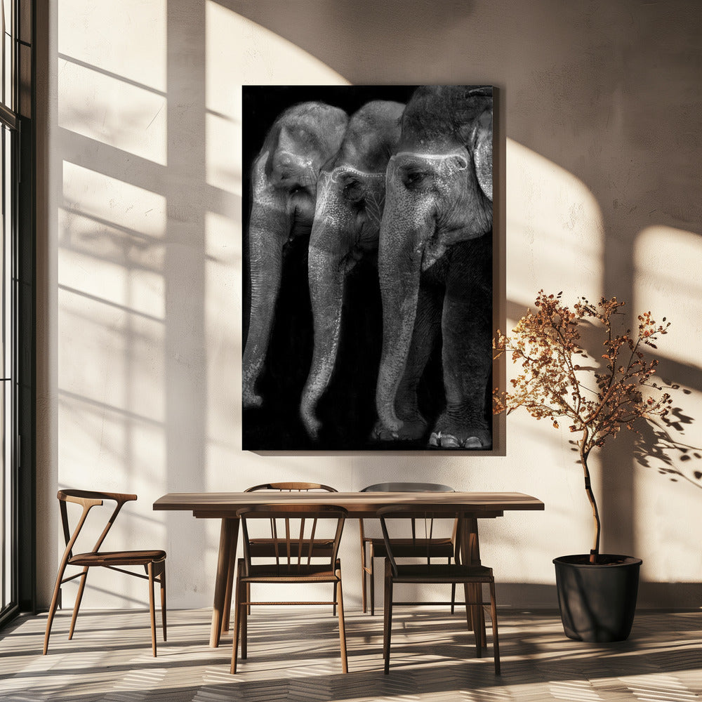 Le grand chef-d'œuvre de la nature, un éléphant ; la seule grande chose inoffensive. . . | Tableaux sur Toile