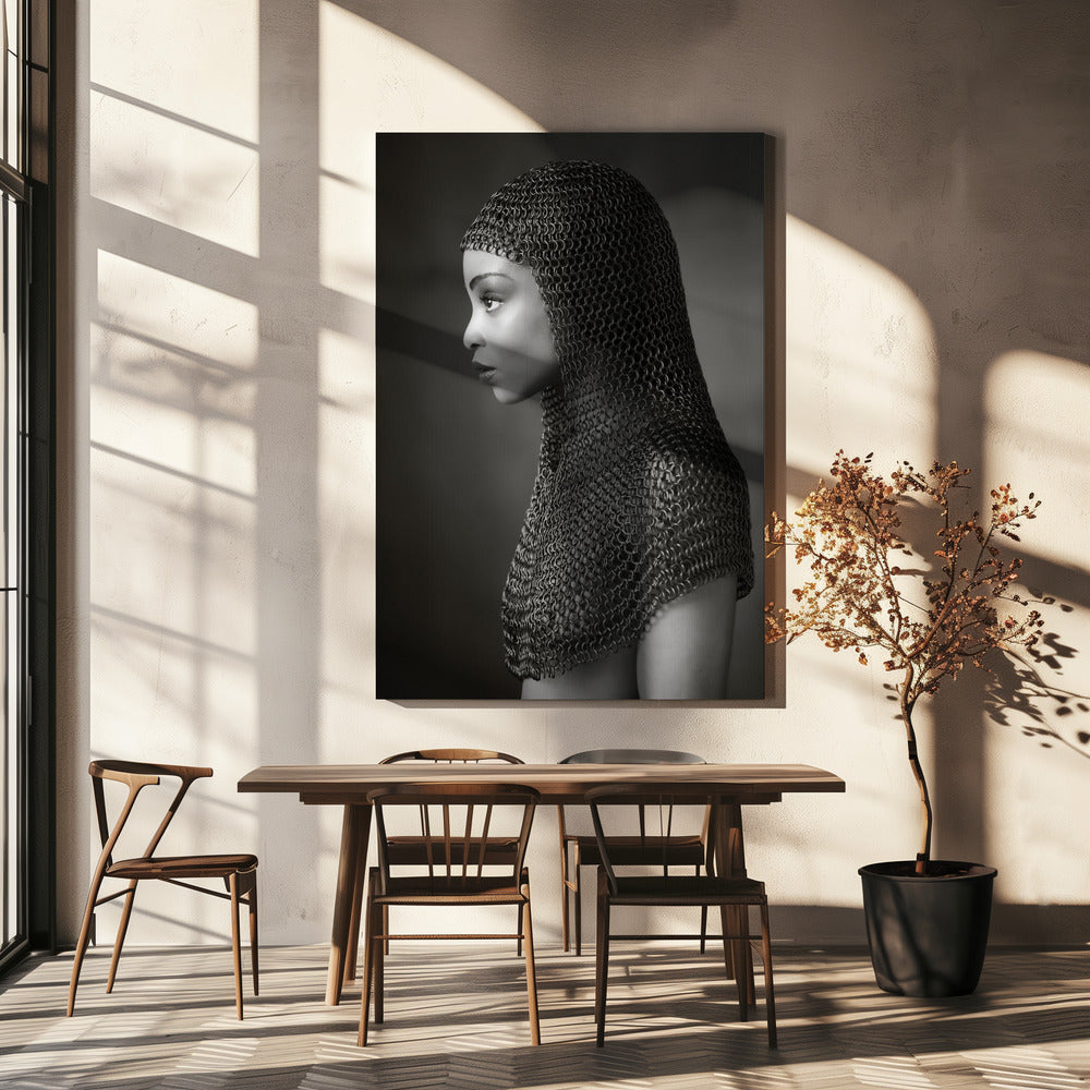 Lady Chainmail | Canvasprints