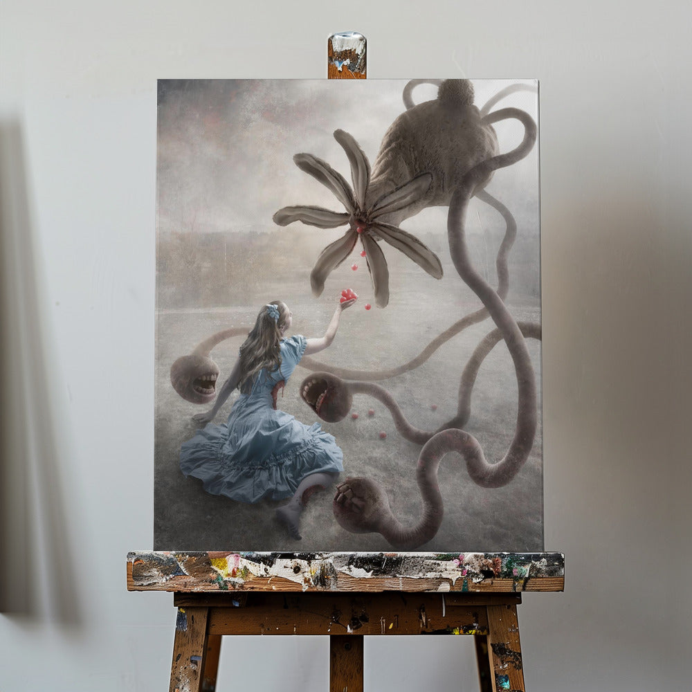 Wonderland? | Canvas