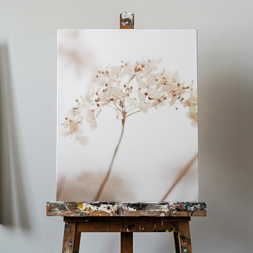 Bløde tørrede blomster_brune | Lærredsbilleder