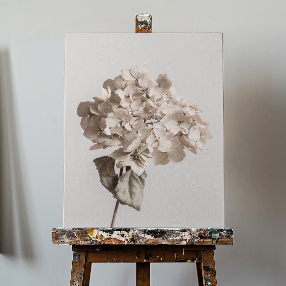 Beige dried flower | Canvas
