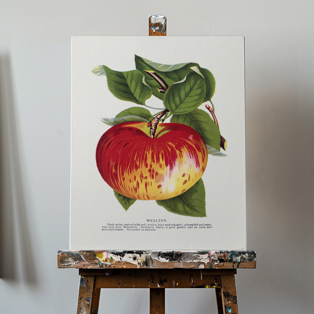 Lithografie „Wealth Apple“ | Leinwand