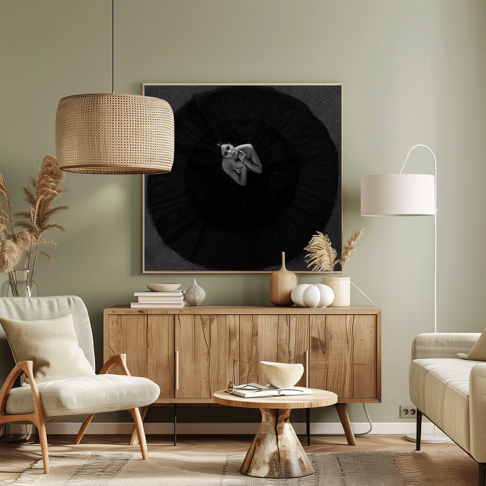Zwarte zwaan | Canvasprints