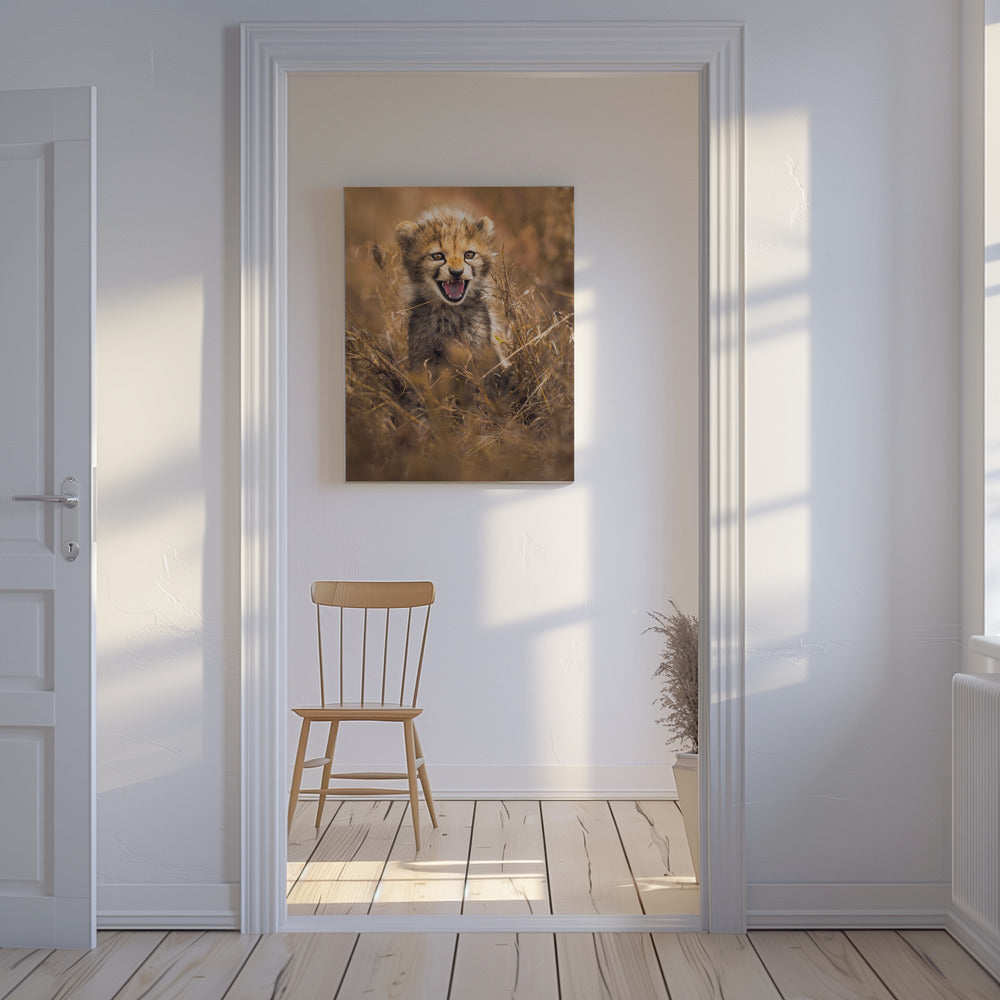 Grand sourire | Tableaux sur Toile