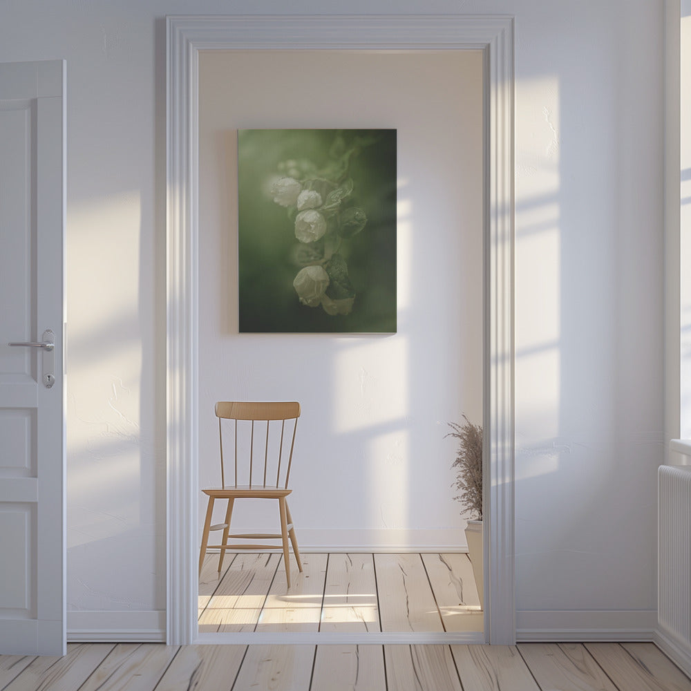 Jasmin | Tableaux sur Toile
