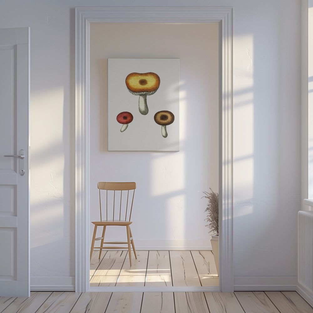 Champignon Galerina dessiné à la main | Tableaux sur Toile