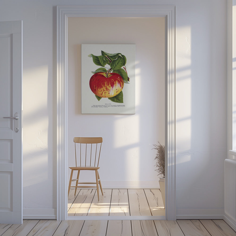 Lithografie „Wealth Apple“ | Leinwand
