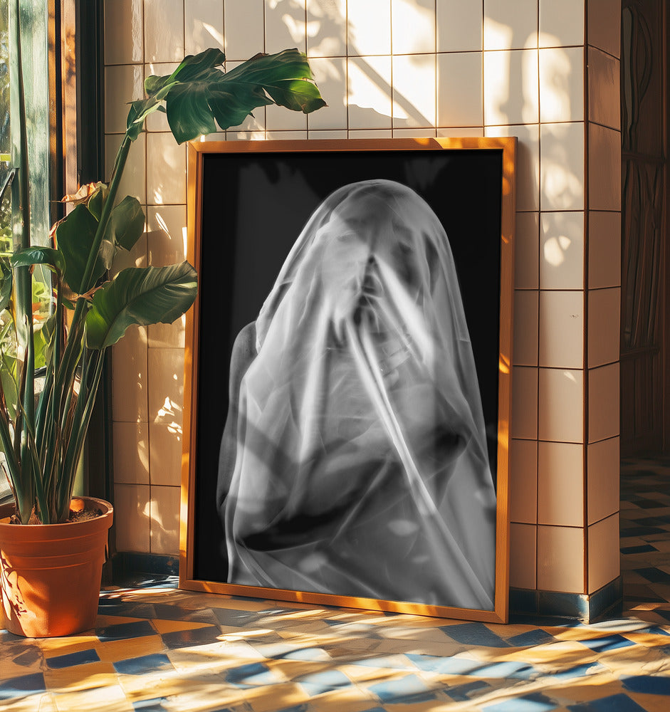 Life Behind the Veil | Poster