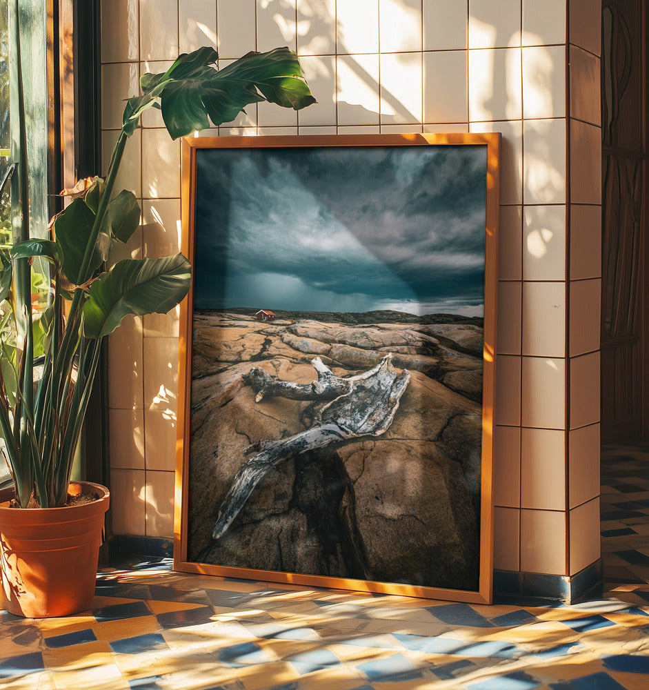 Drift wood | Poster