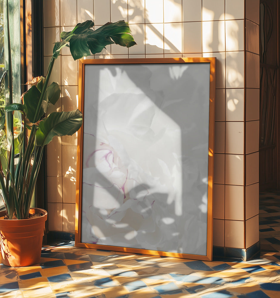 Peony 21 | Poster