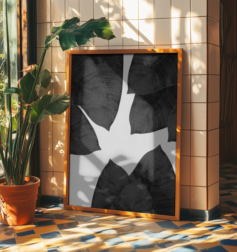 Banana Leaf Black & White I | Poster