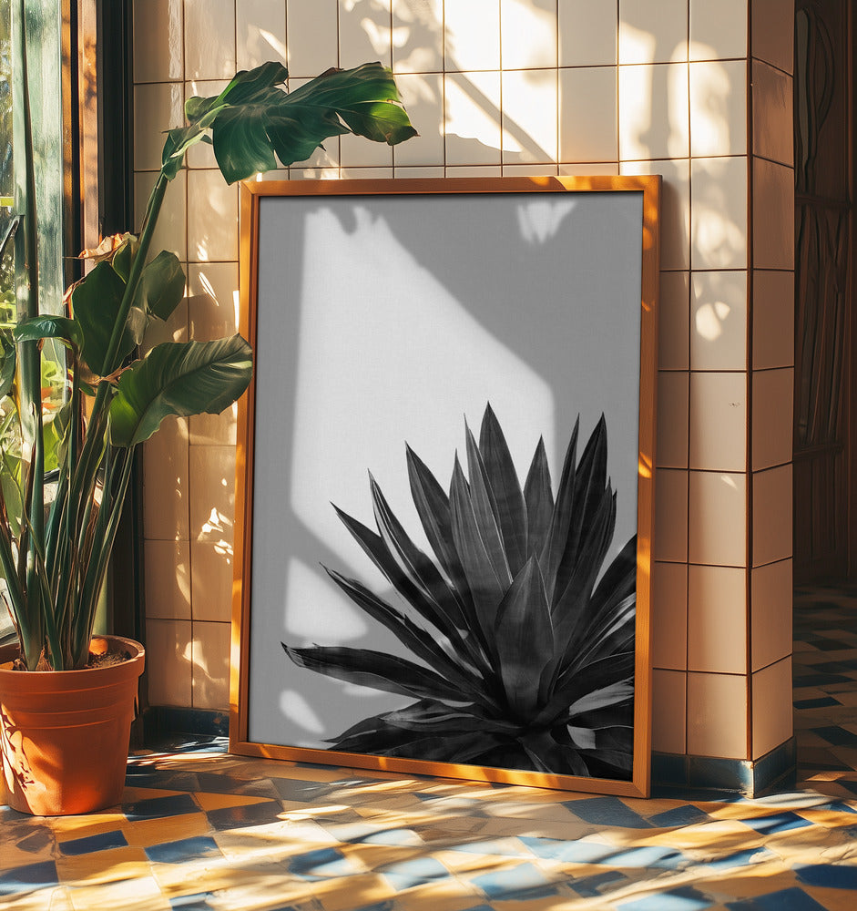 Agave Cactus Black & White | Poster