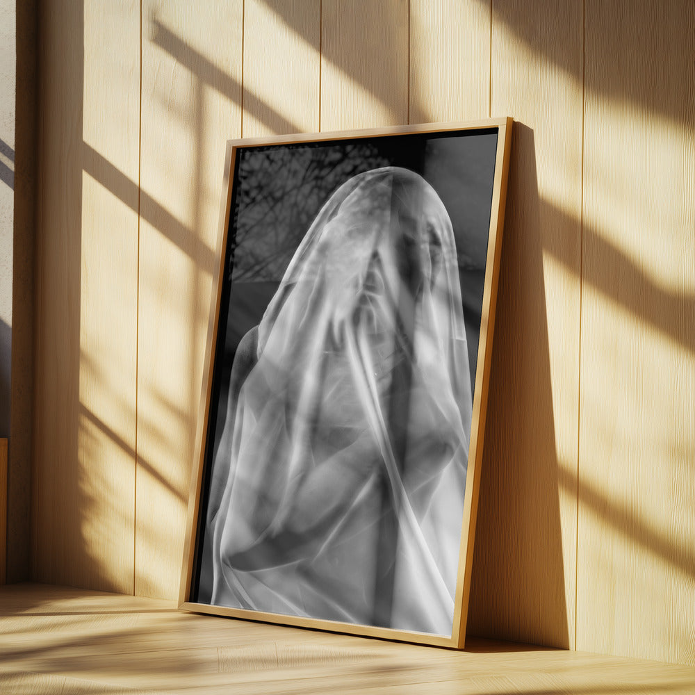 Life Behind the Veil | Poster