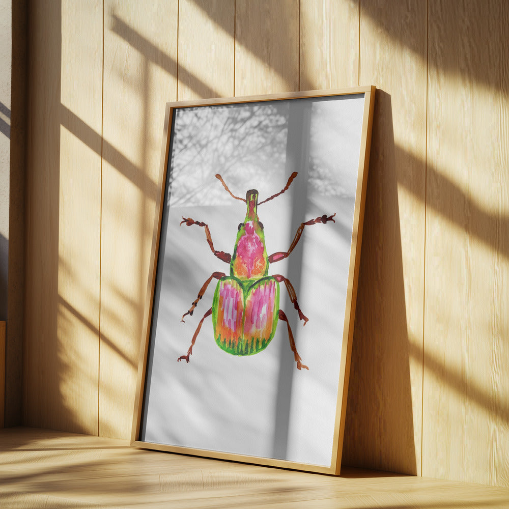 Apricot weevil or Epirhynchites auratus | Poster