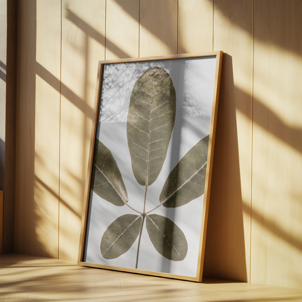 Herbstblatt | Poster