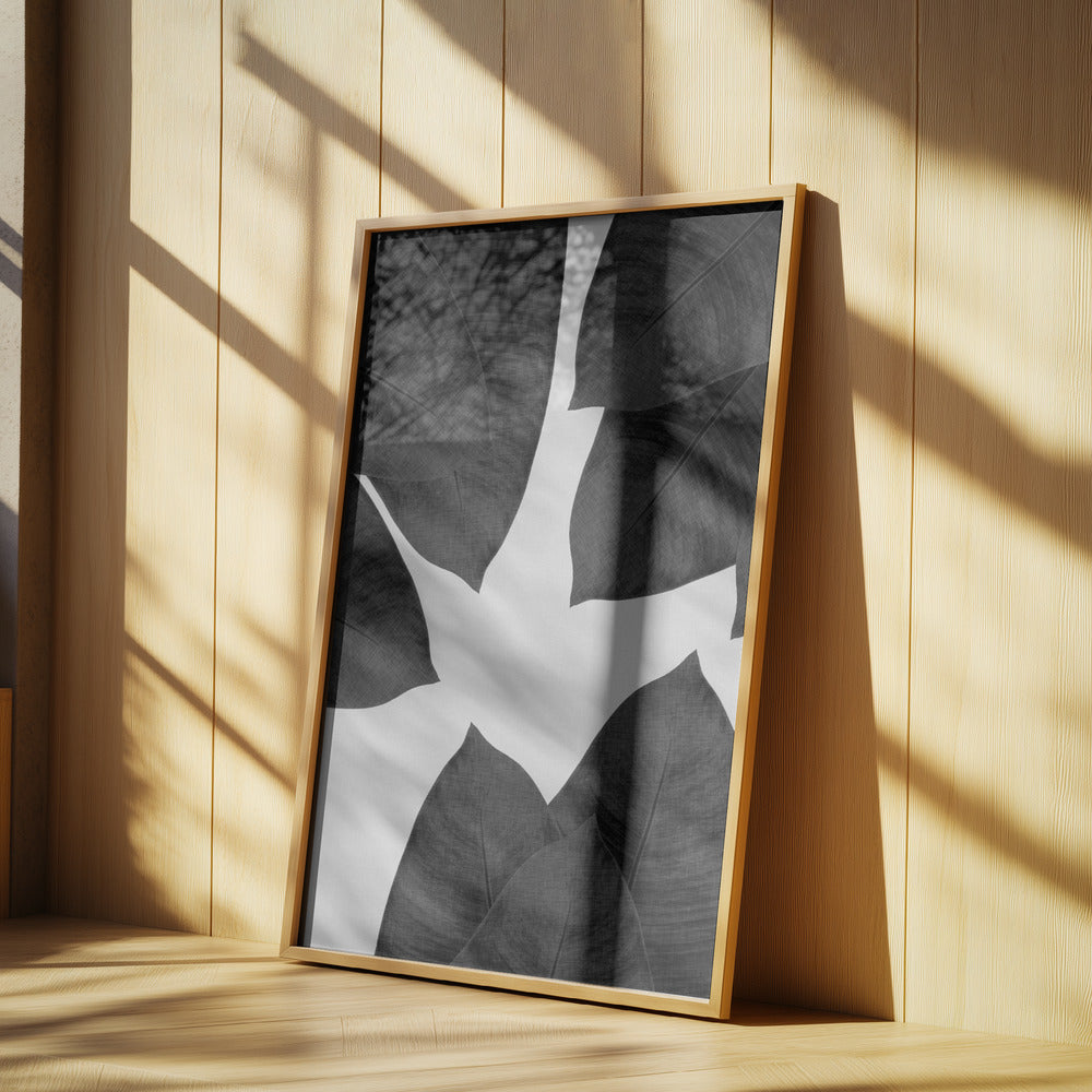 Banana Leaf Black & White I | Poster