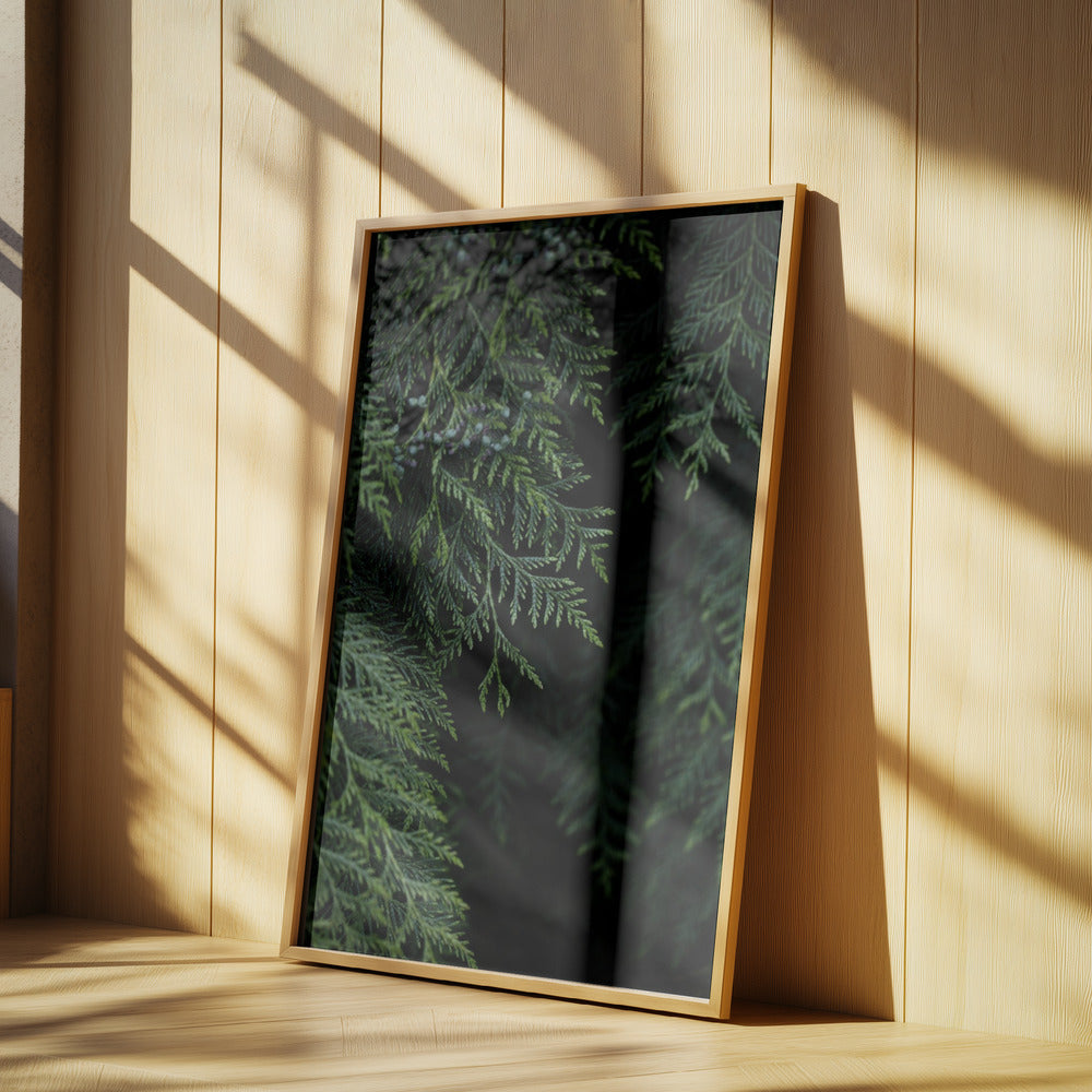 Winter Branches 3 | Poster