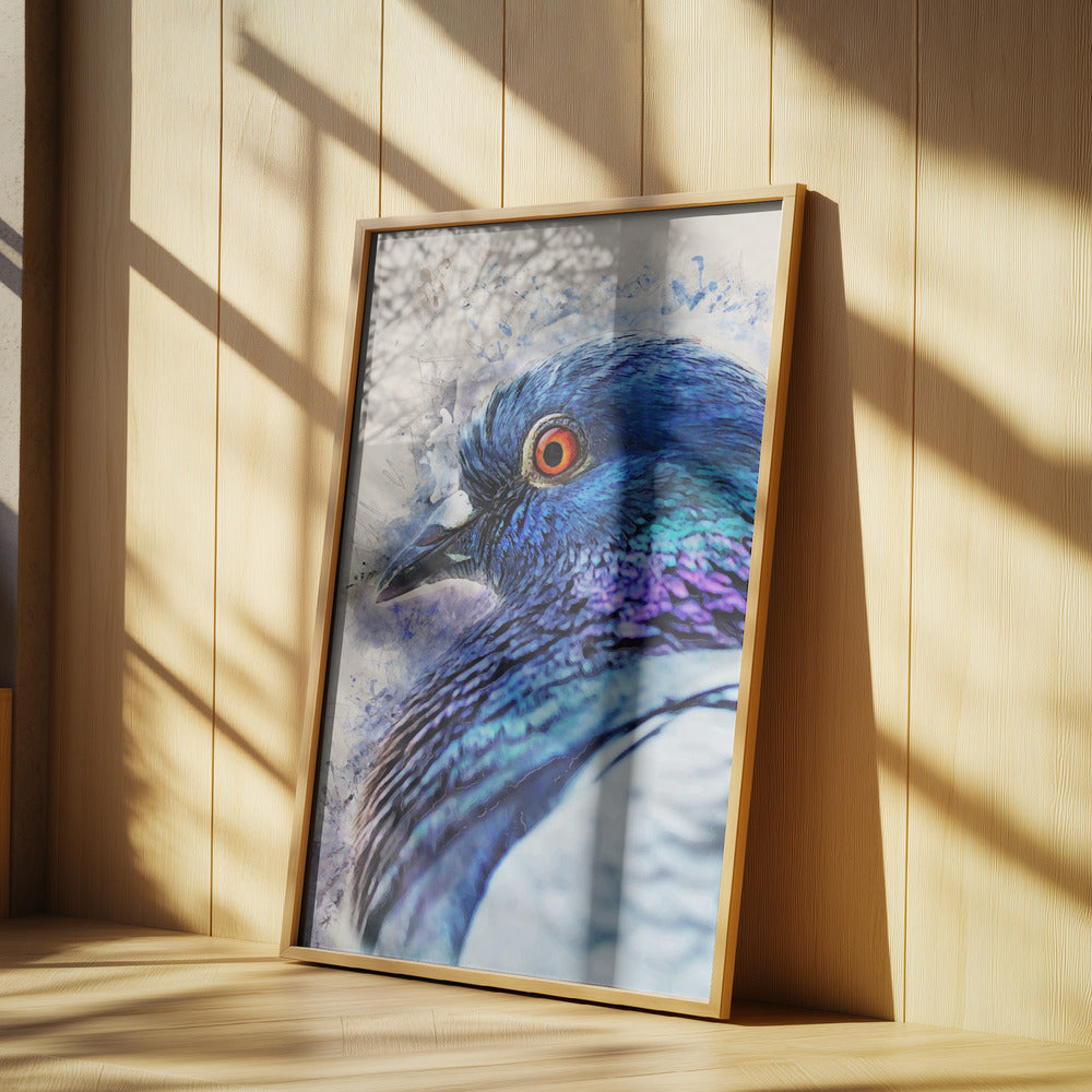 Tiere Vogel Taube Aquarell Tierkunst | Poster