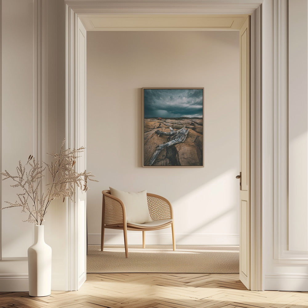 Drift wood | Poster