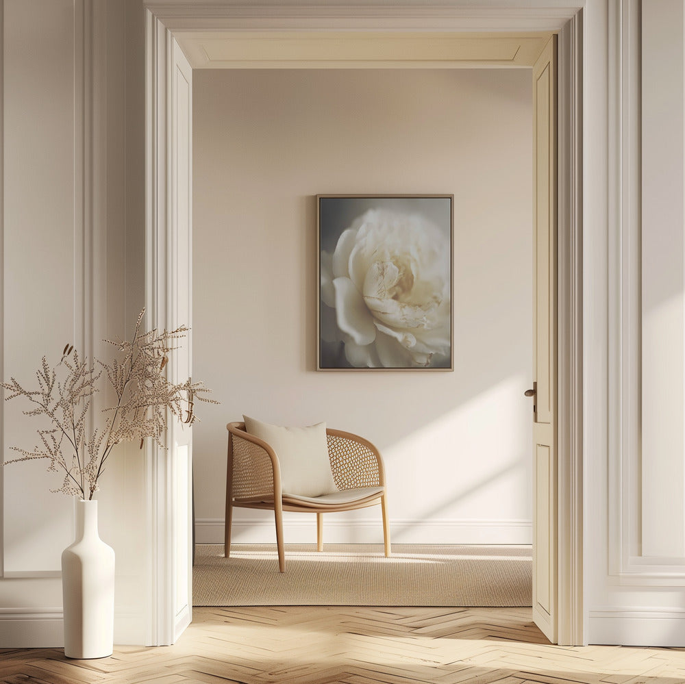 Peonyinsoftlight | Poster