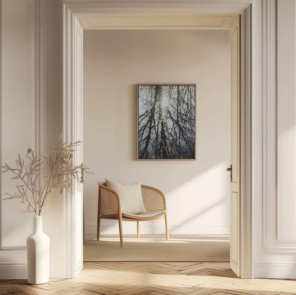 Winter Reflections 4 | Poster
