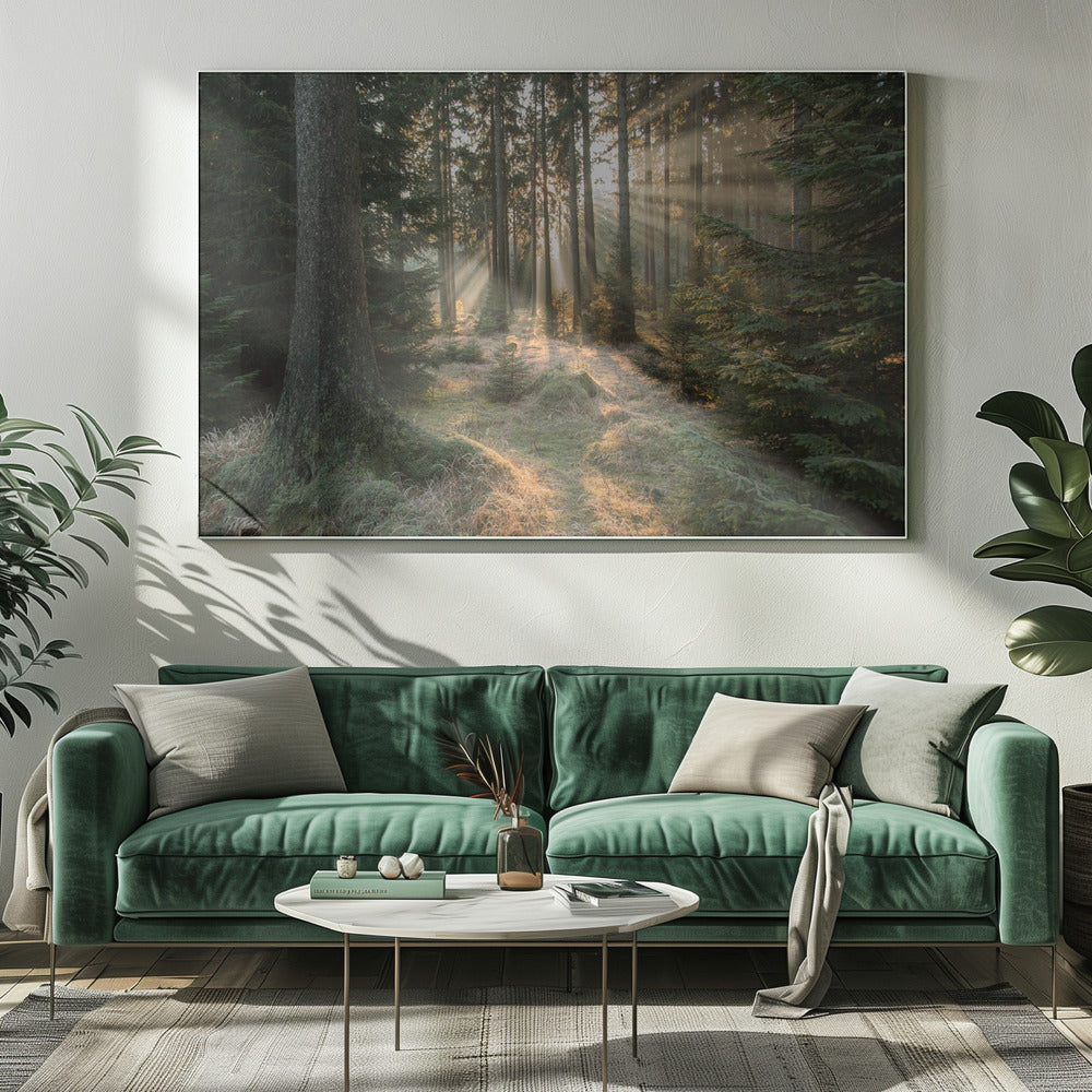 Rayons, partie 2 | Tableaux sur Toile