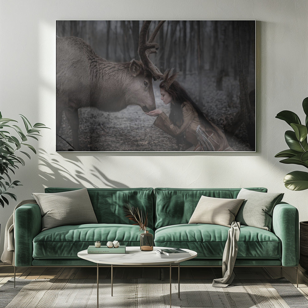 * | Canvas
