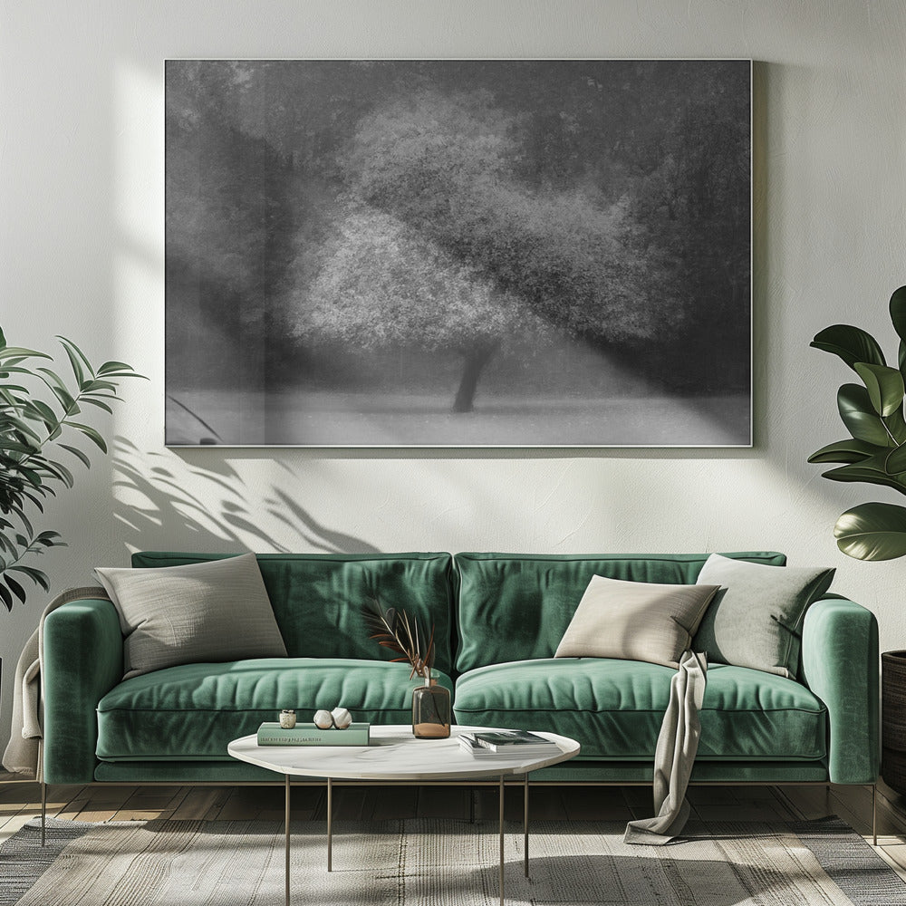 Trädmagi | Canvas