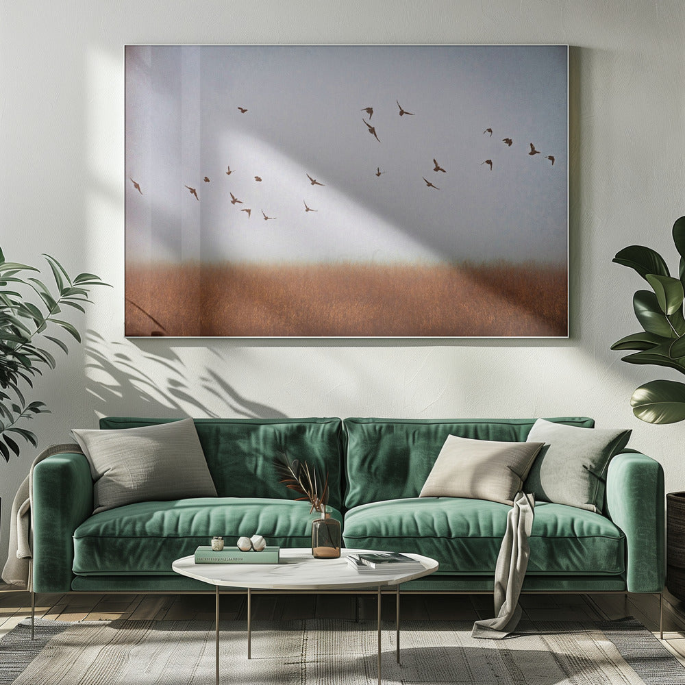 vrijheid | Canvasprints