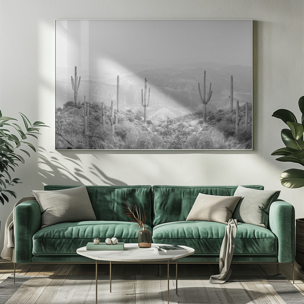 Västlig kaktus | Canvas