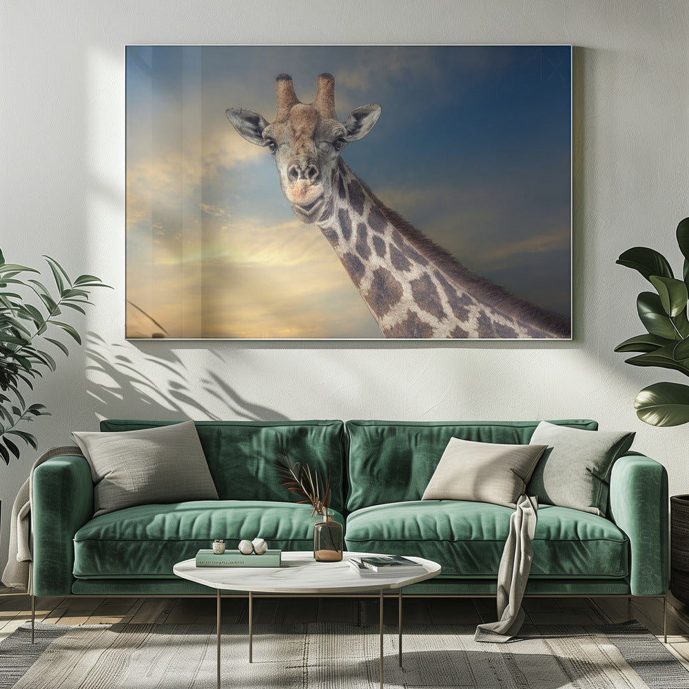 le gentil géant | Tableaux sur Toile