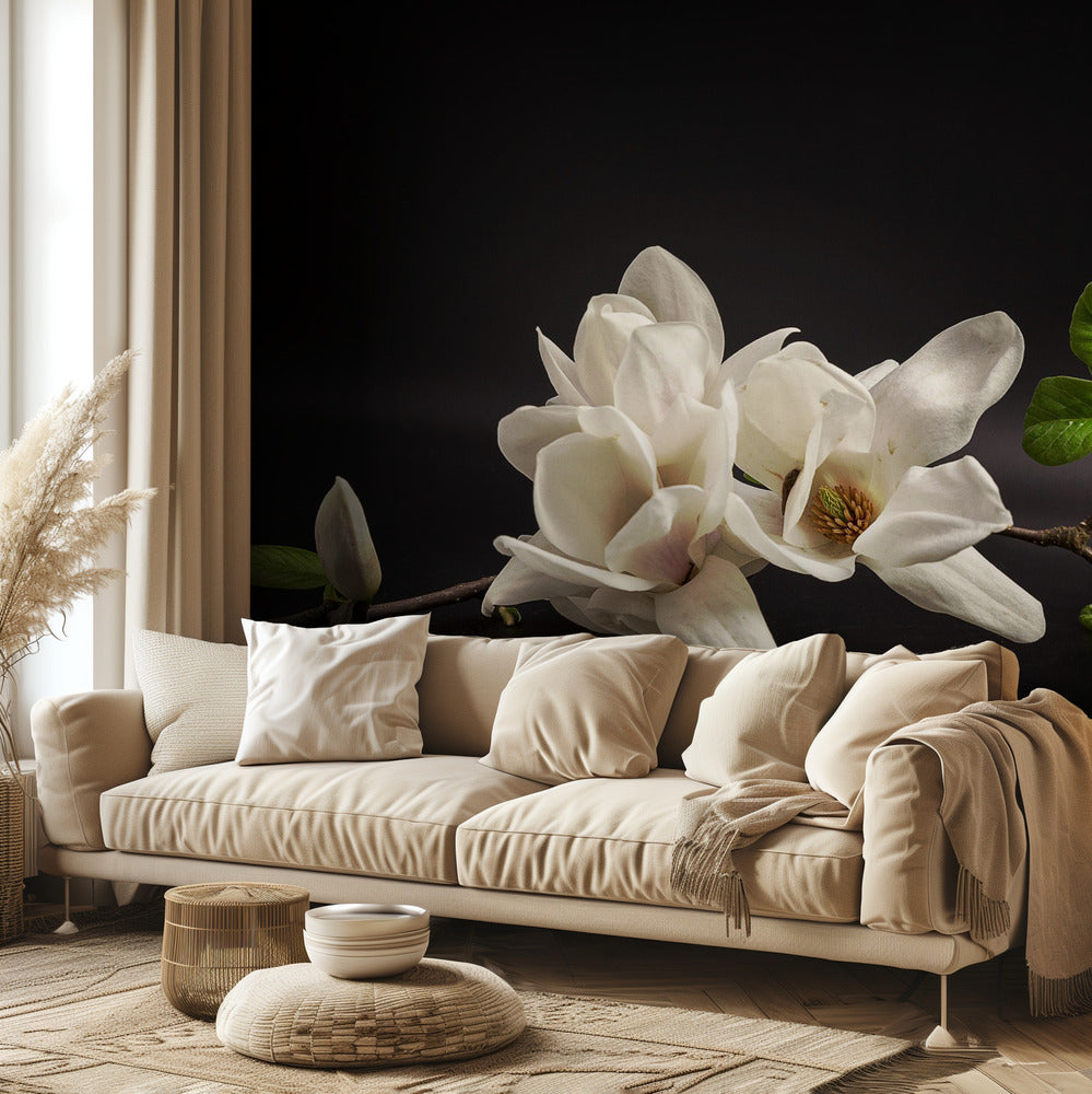 Magnolia | Fototapeter