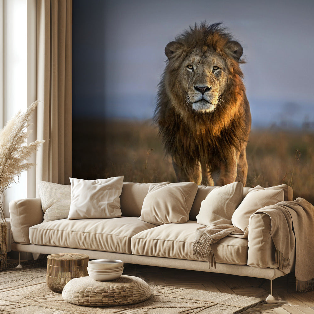 Gros plan sur le lion | Papier Peint Photo
