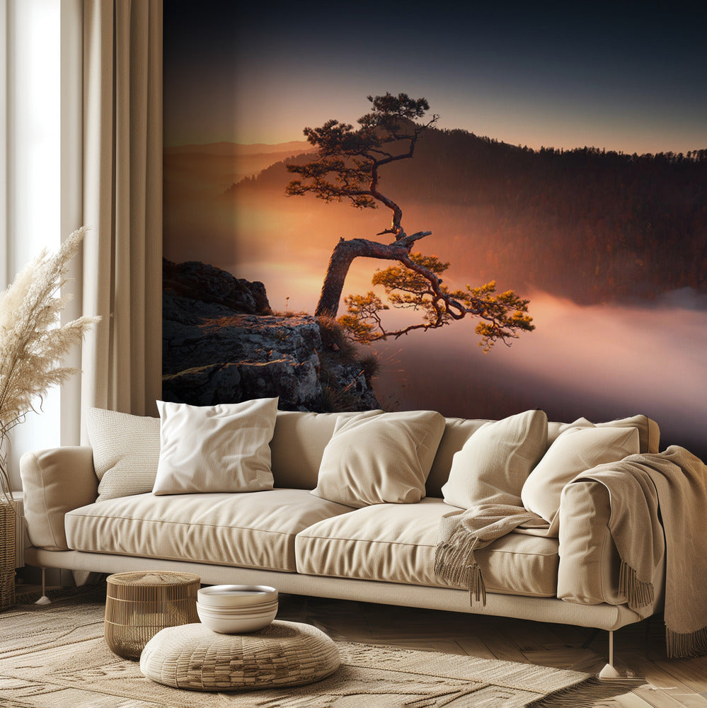 Sokolica | Papel Pintado Fotográfico