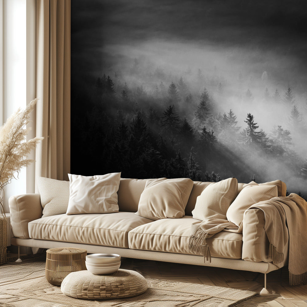 Brumeux | Papier Peint Photo