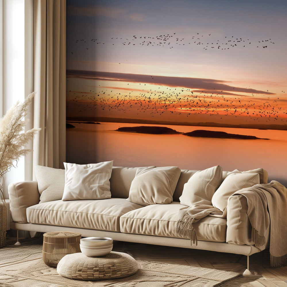 au coucher du soleil | Papier Peint Photo
