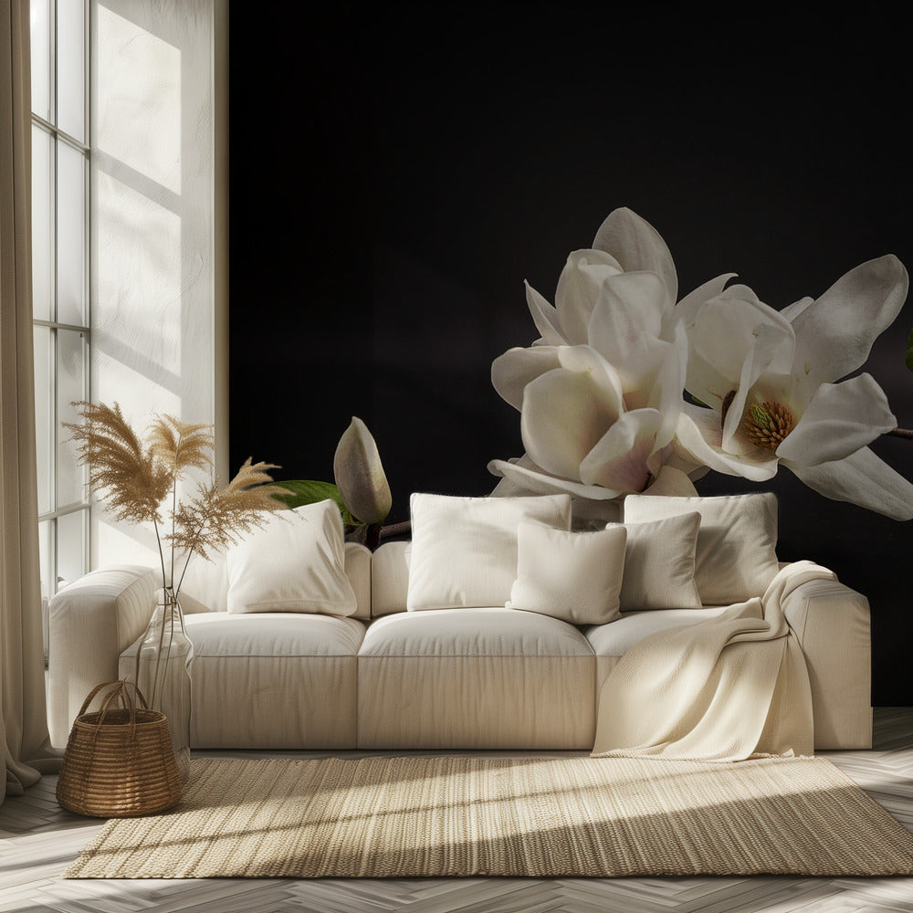 Magnolia | Fototapeter