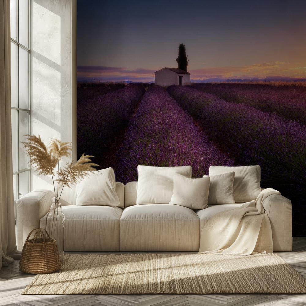 Lavande de Provence | Papier Peint Photo