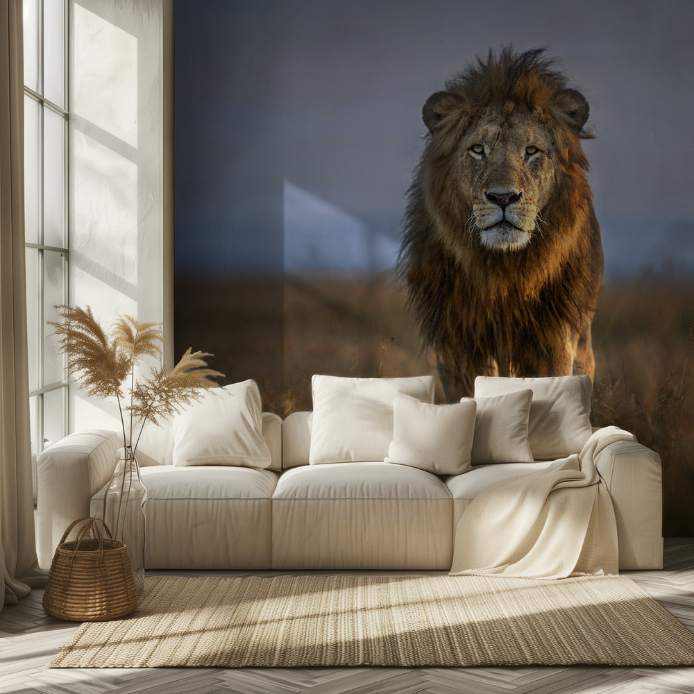 Gros plan sur le lion | Papier Peint Photo