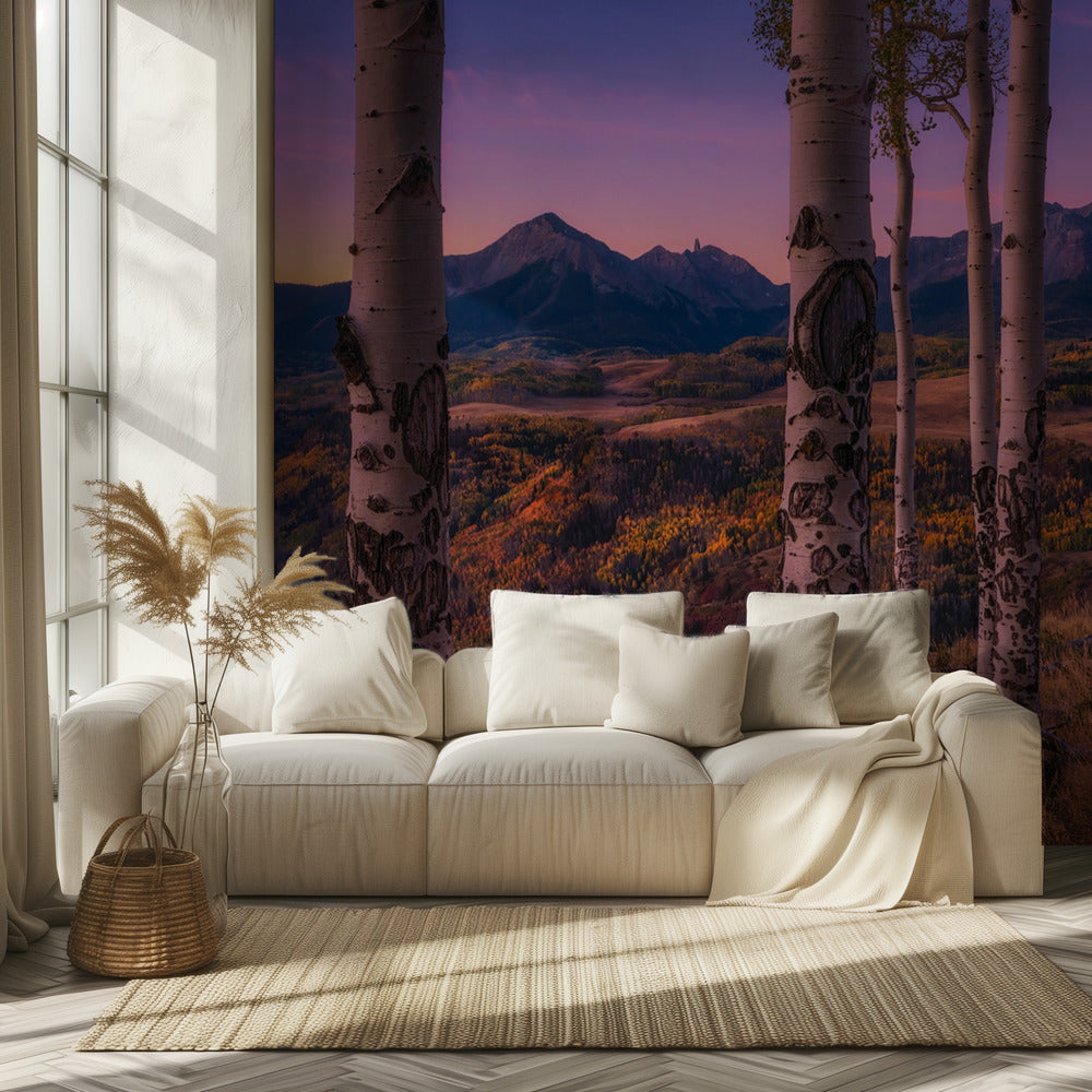 Cadres Aspen | Papier Peint Photo